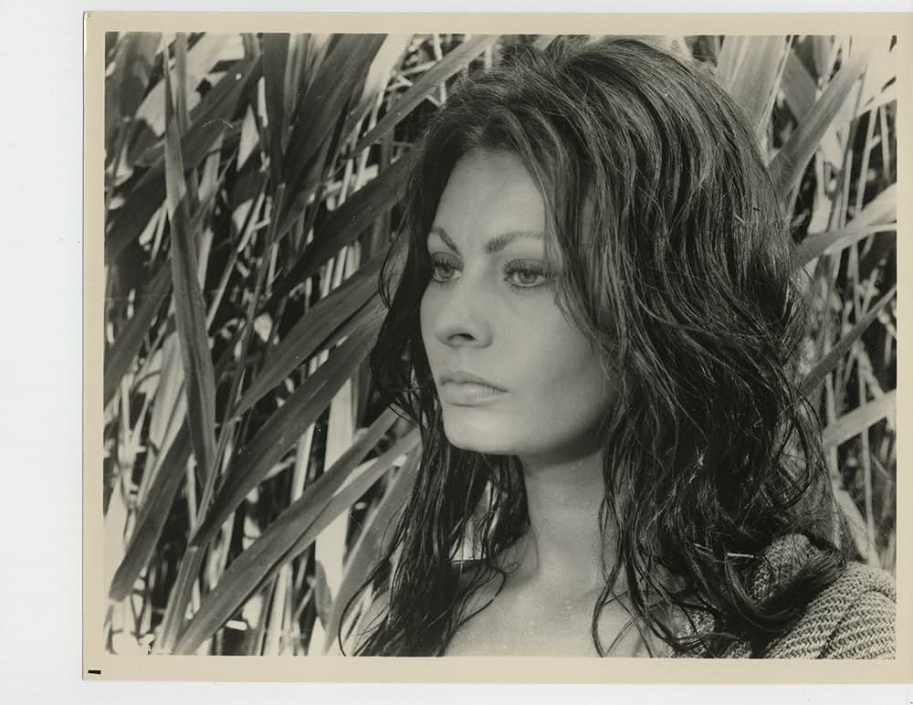 イタリヤ式奇跡の画像