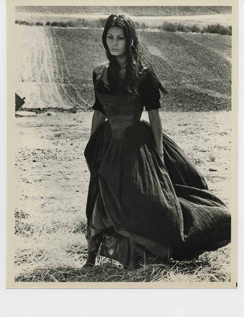 イタリヤ式奇跡の画像