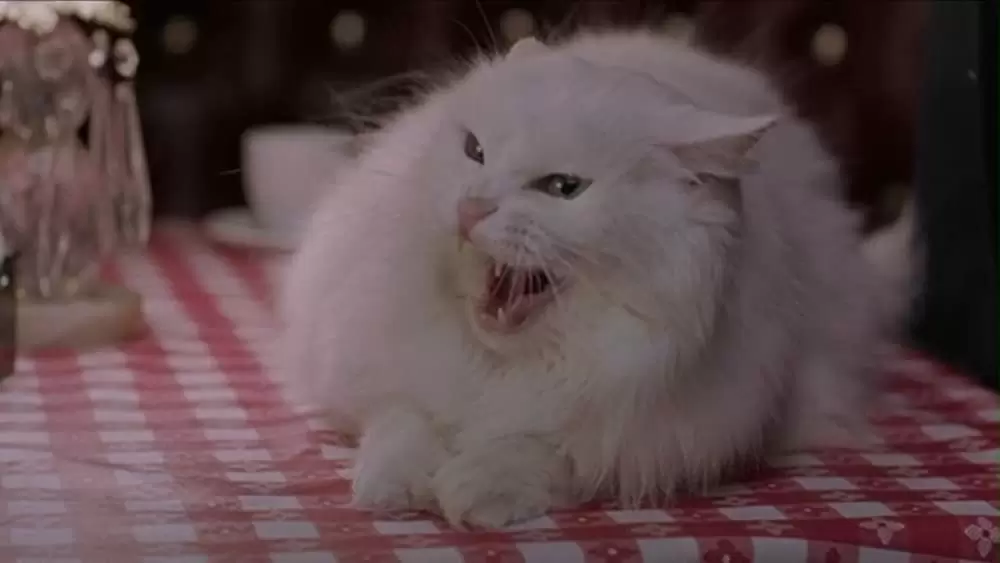 ヴァンパイア・イン・ブルックリンの画像