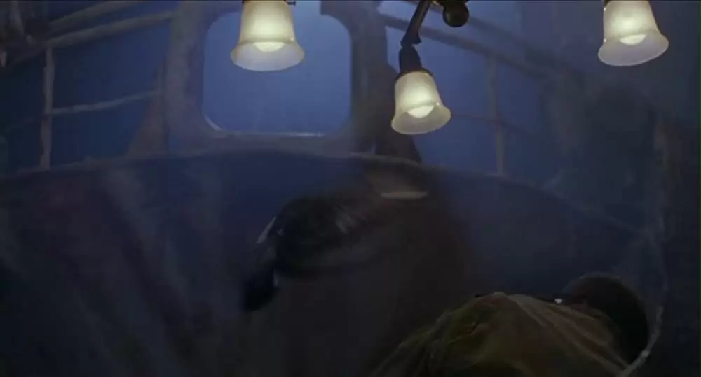 ヴァンパイア・イン・ブルックリンの画像