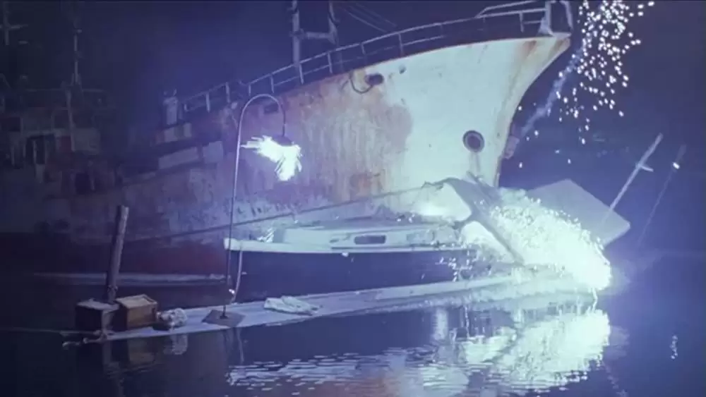 ヴァンパイア・イン・ブルックリンの画像