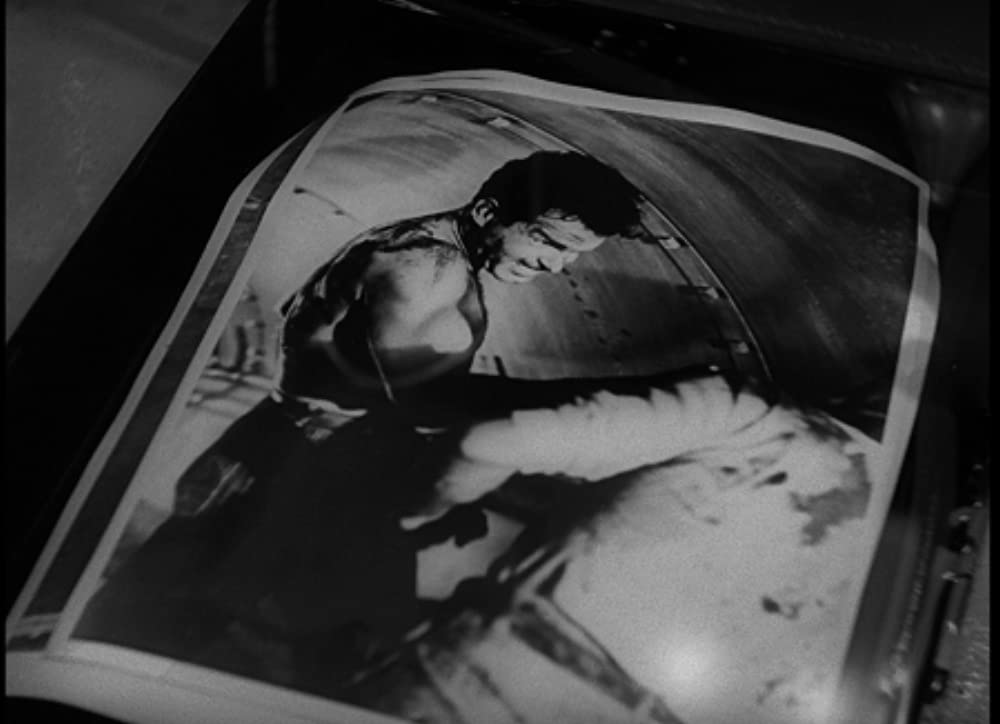 「淑女と拳骨」フレッド・マクマレイの画像