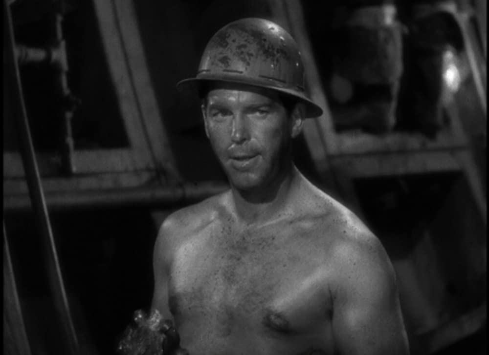 「淑女と拳骨」フレッド・マクマレイの画像