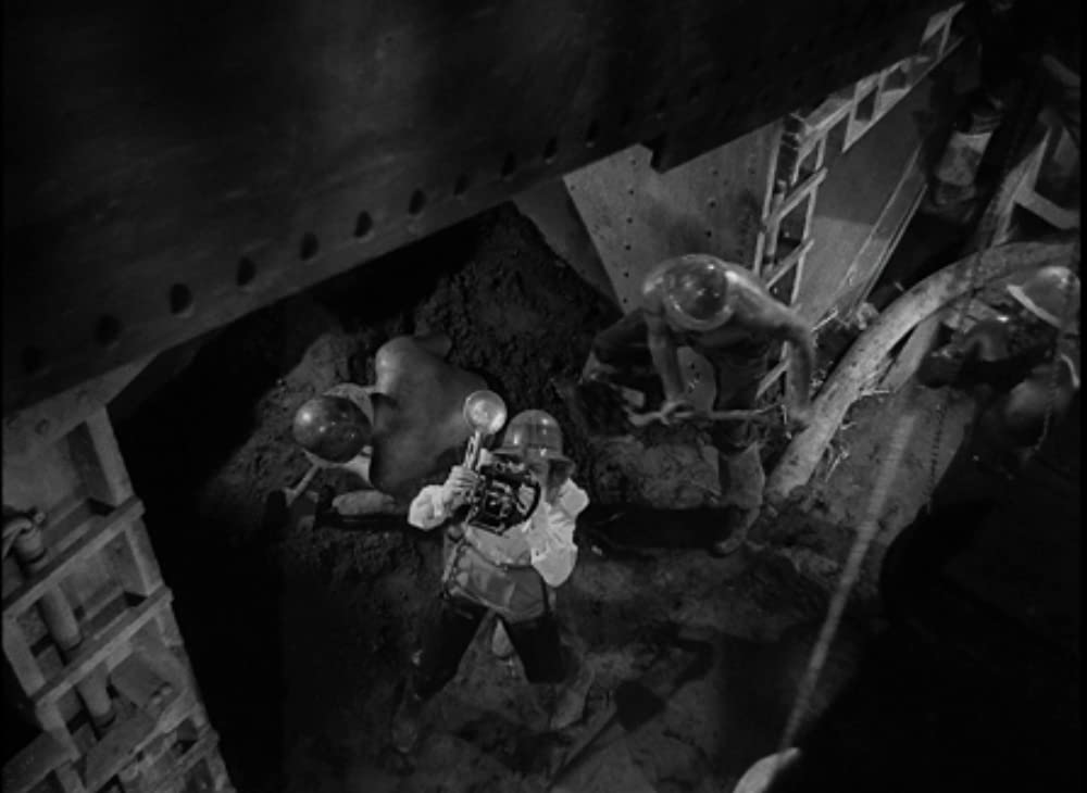 淑女と拳骨の画像