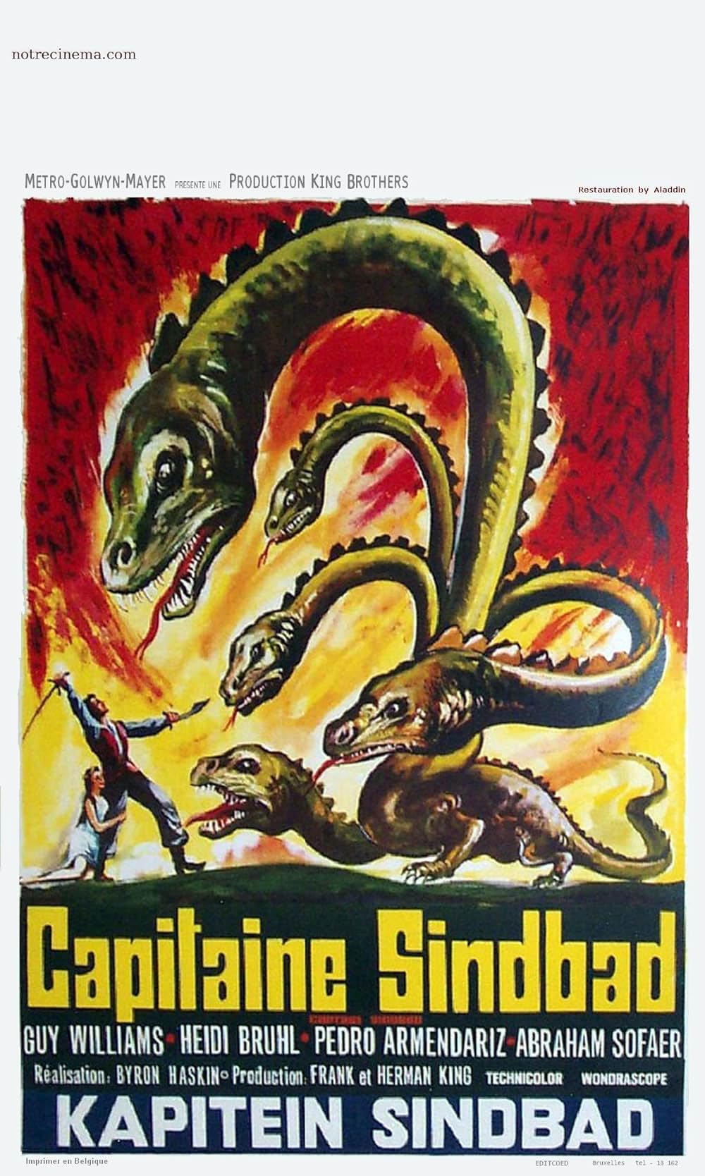 キャプテン・シンドバッドの画像