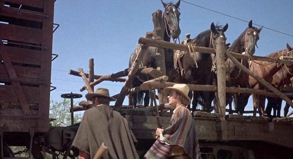 国境のかなたに明日はないの画像