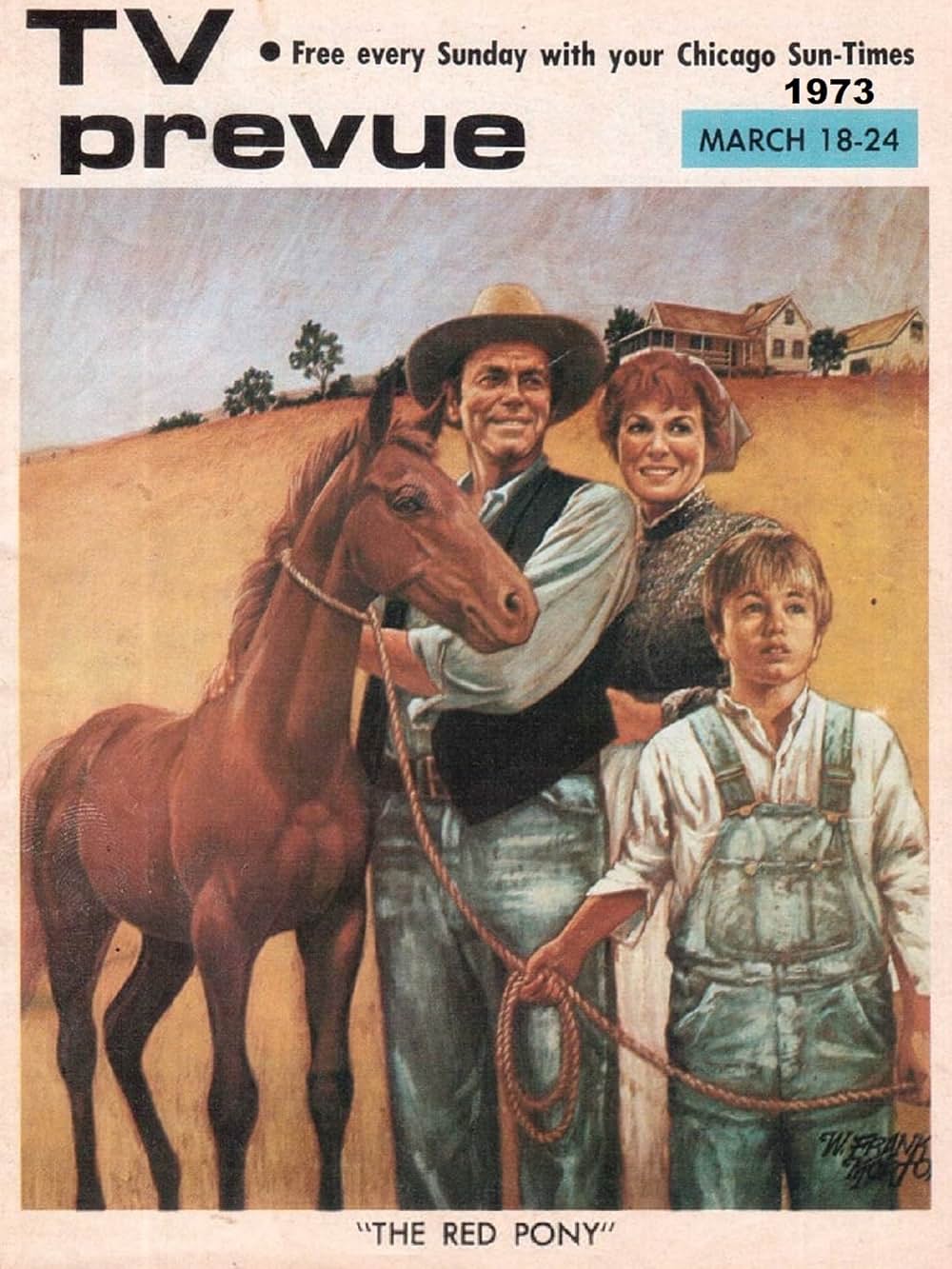 赤い仔馬の画像