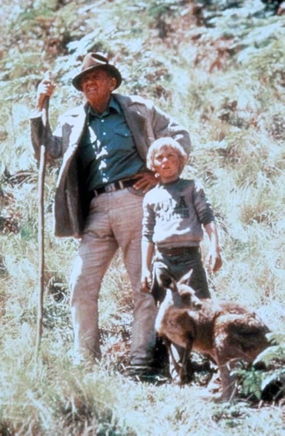 アドベンチャー・ロードの画像