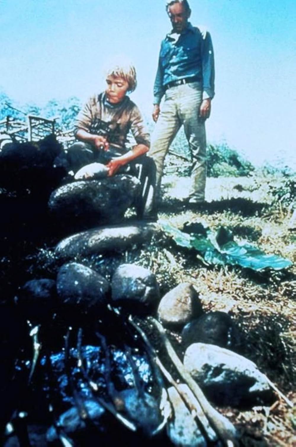 アドベンチャー・ロードの画像