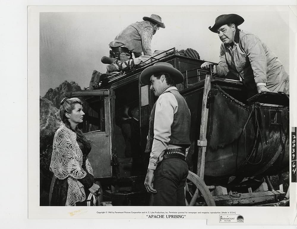 駅馬車の七人の画像