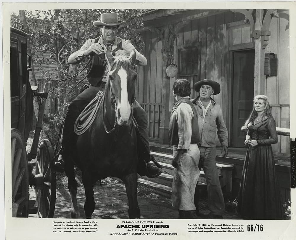 駅馬車の七人の画像