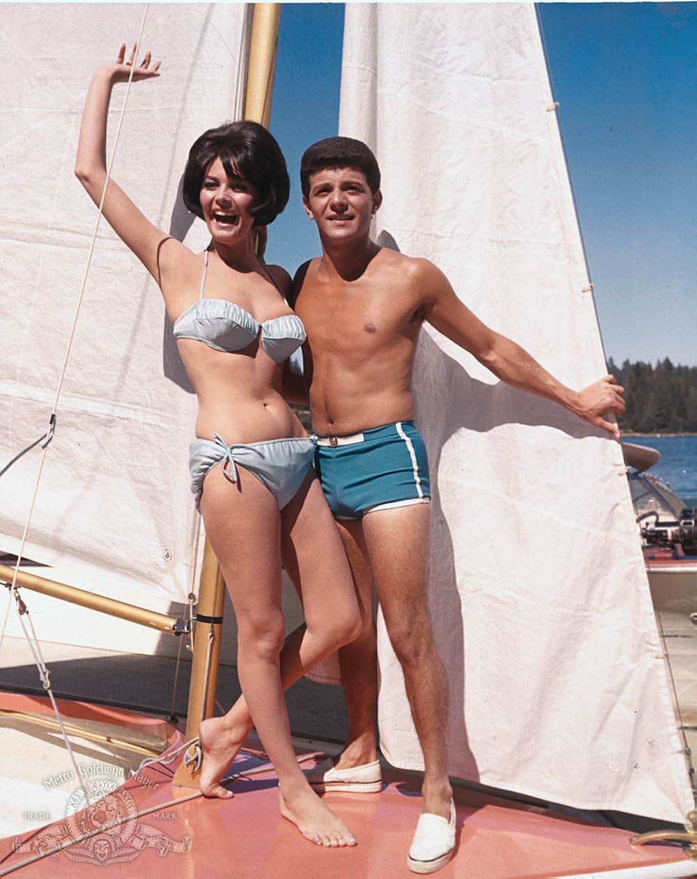 テスト・ハネムーンの画像