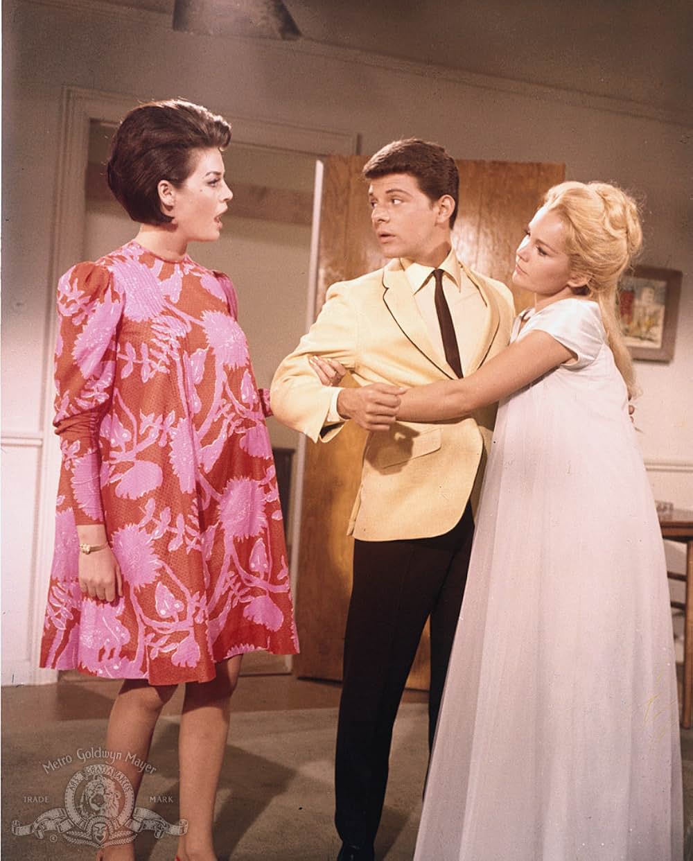 テスト・ハネムーンの画像