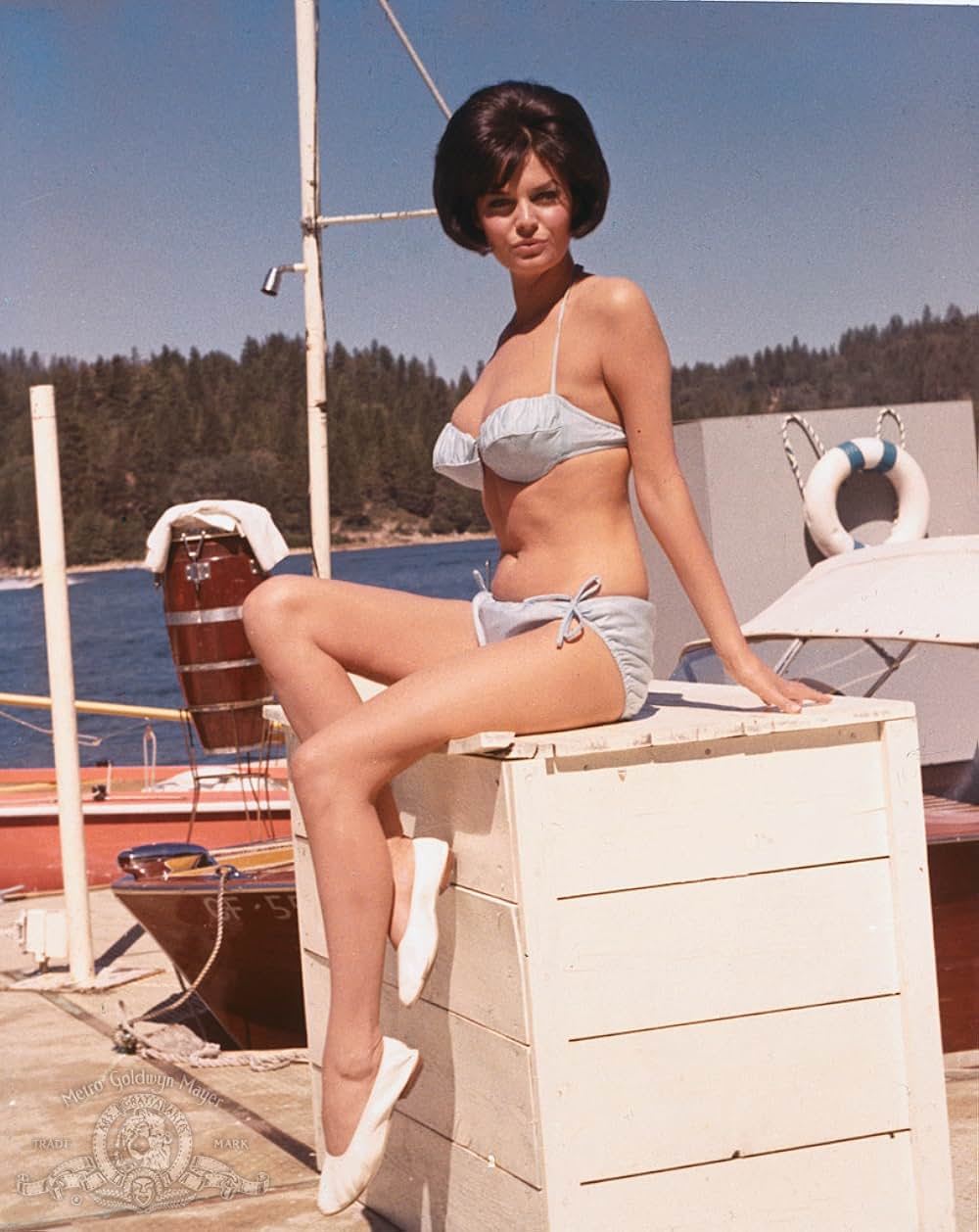 テスト・ハネムーンの画像