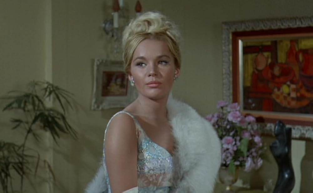 テスト・ハネムーンの画像