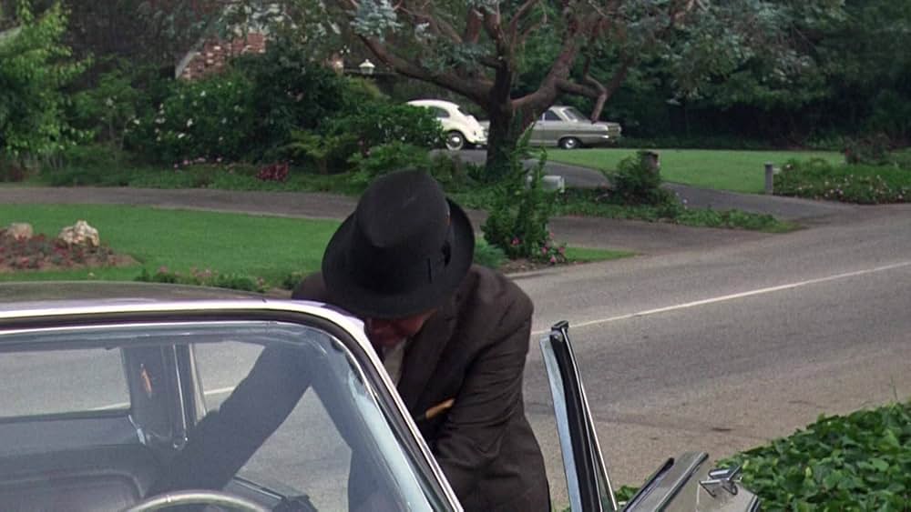 テスト・ハネムーンの画像