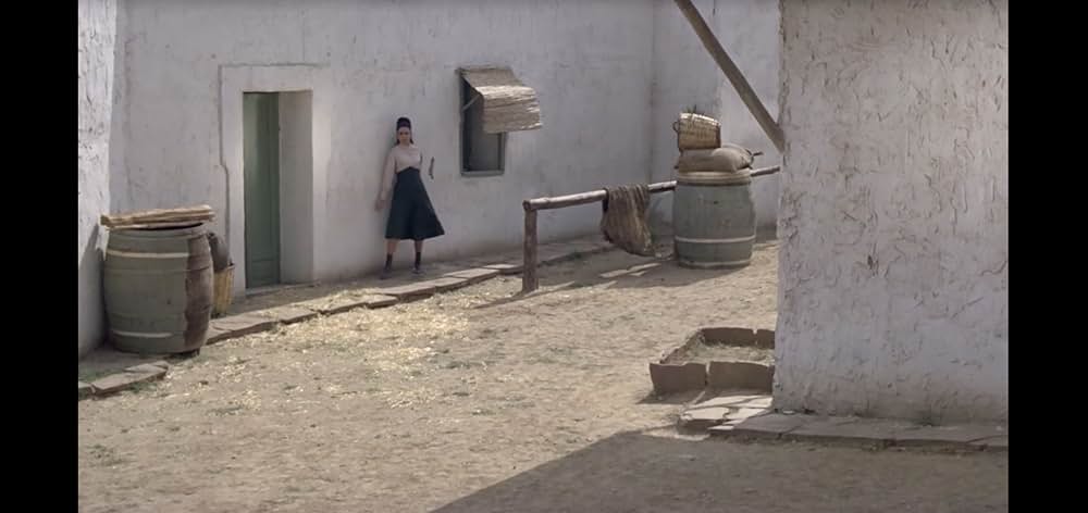 五匹の用心棒の画像