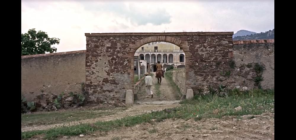 五匹の用心棒の画像