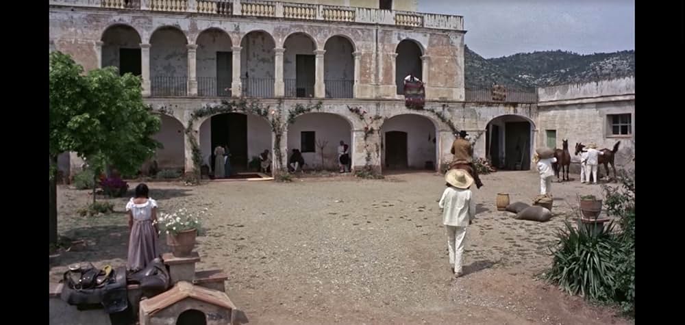 五匹の用心棒の画像