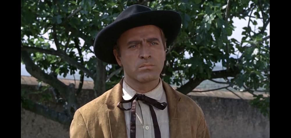 五匹の用心棒の画像