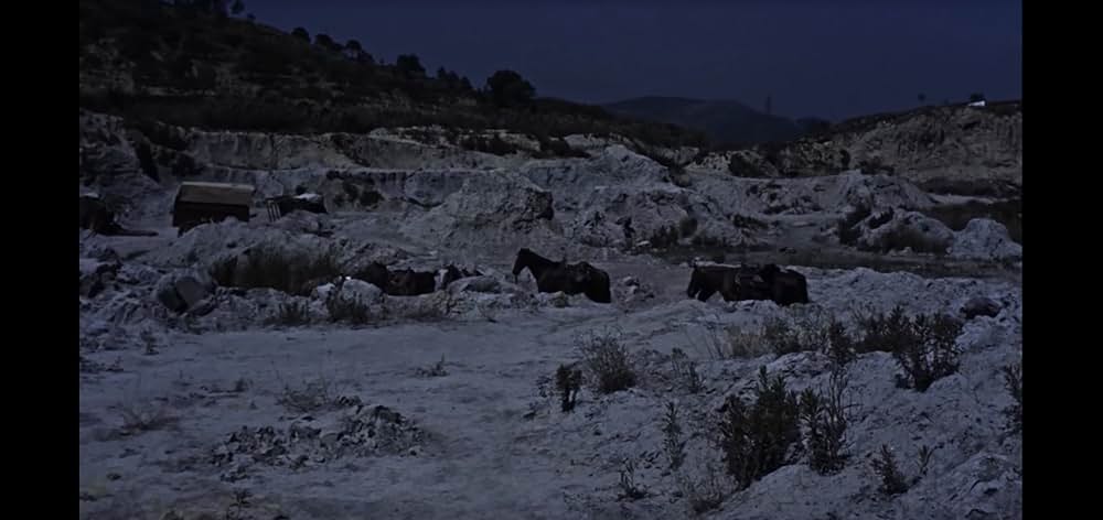 五匹の用心棒の画像