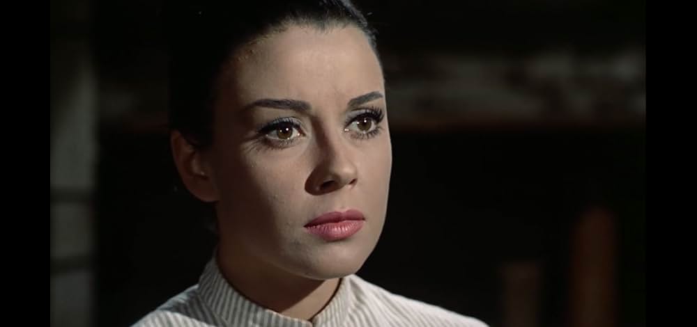 五匹の用心棒の画像