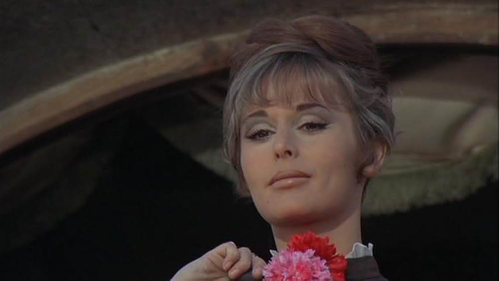 エル・コンドルの画像