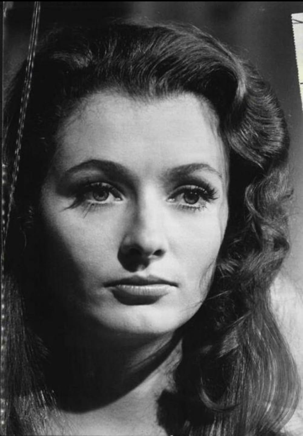 最後の弾丸の画像