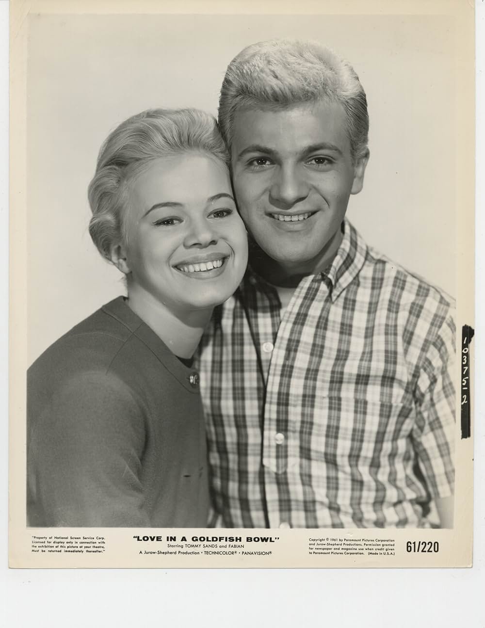 金魚鉢の中の恋の画像