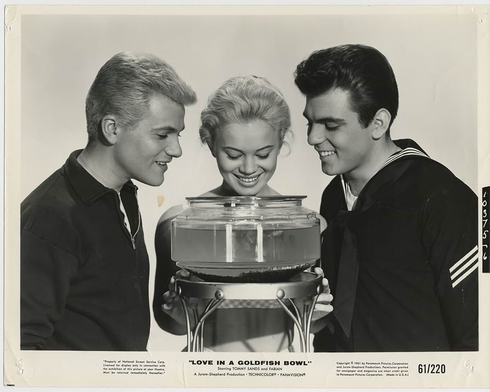 金魚鉢の中の恋の画像