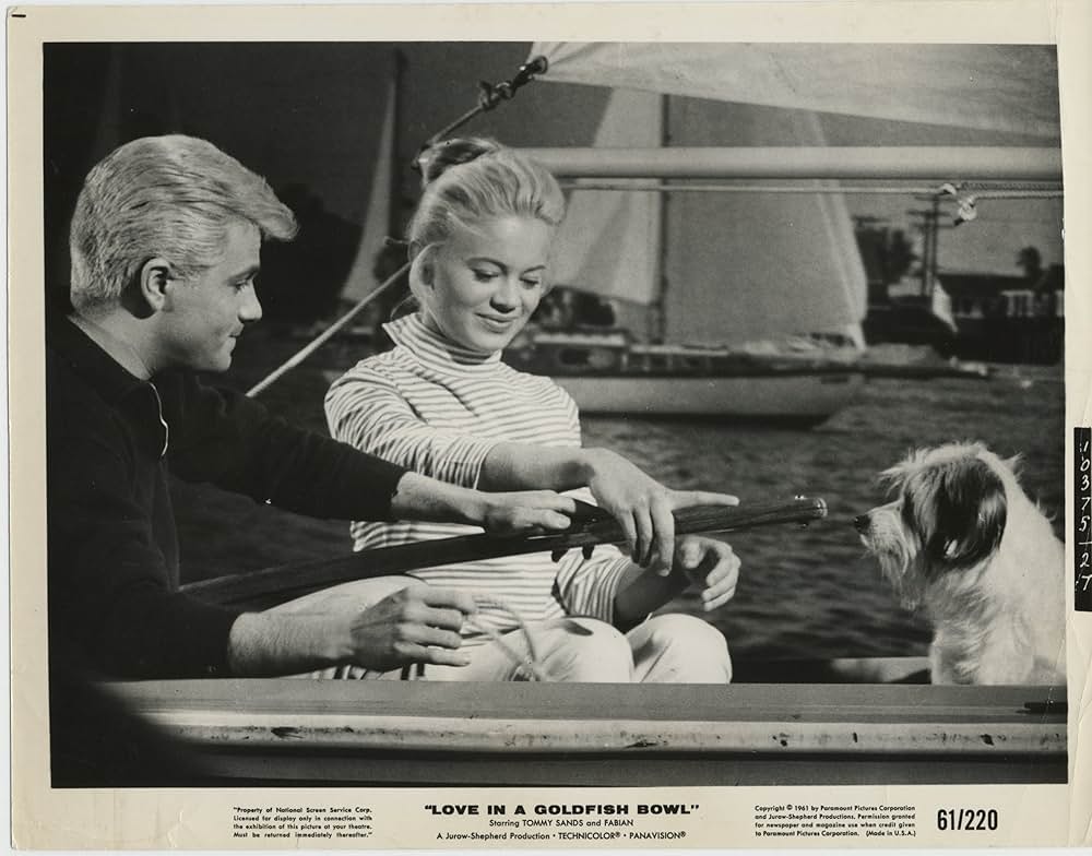 金魚鉢の中の恋の画像