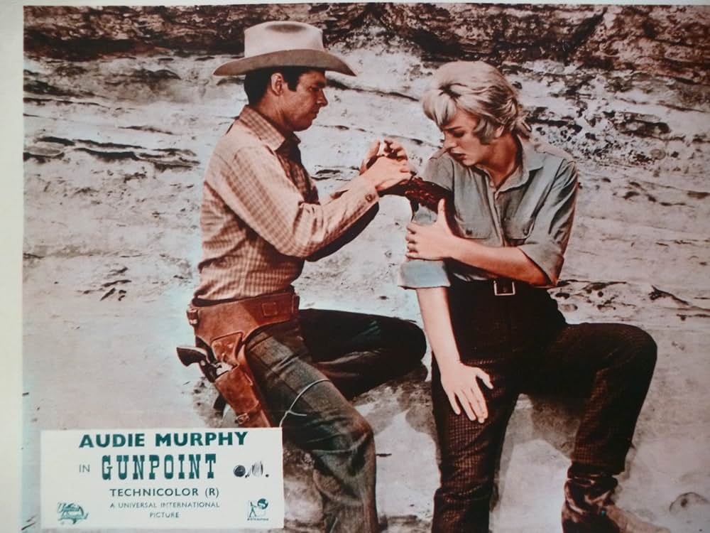 ガンポイントの画像