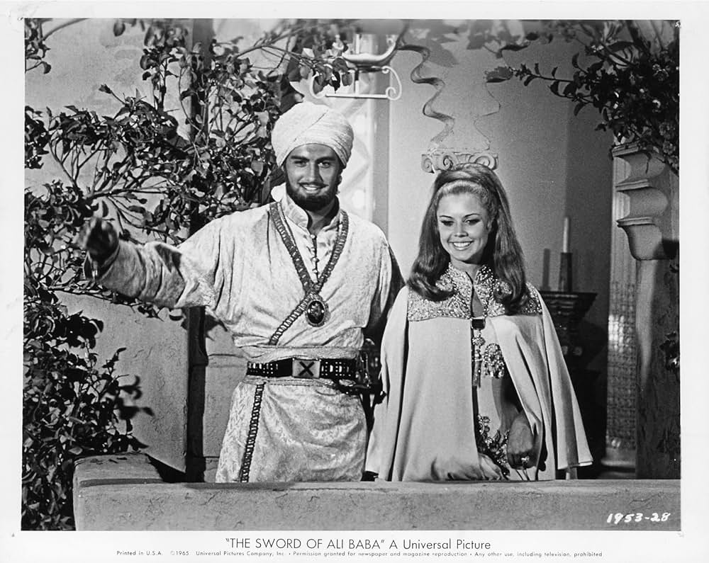 砂漠の盗賊王子の画像