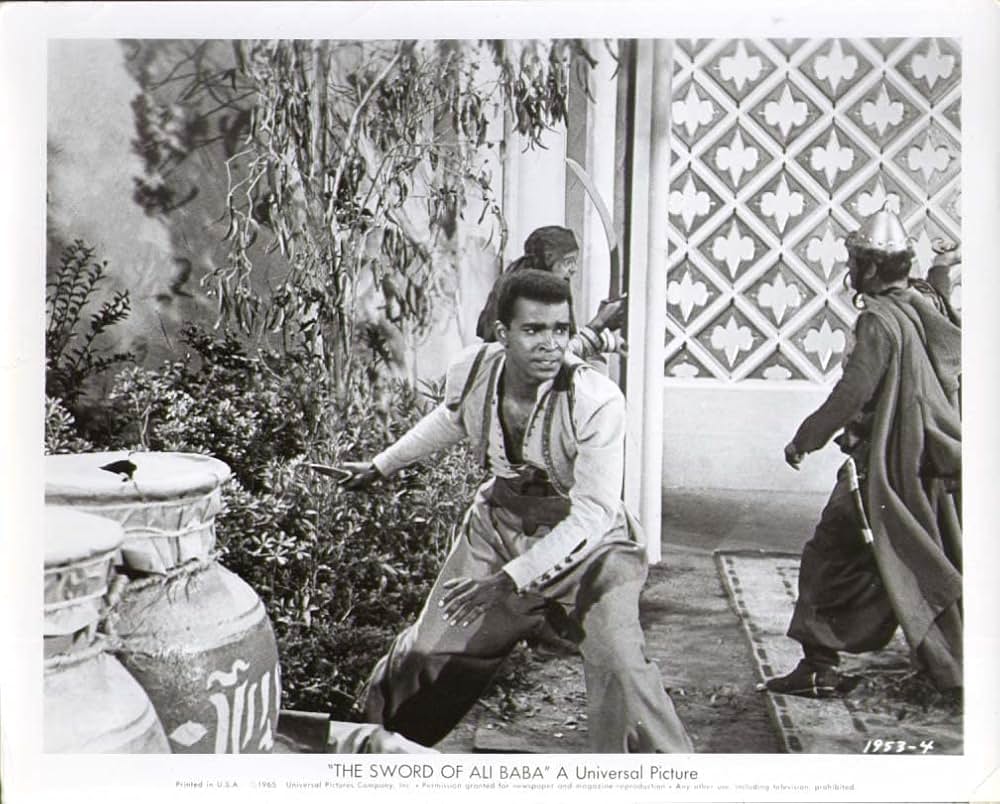 砂漠の盗賊王子の画像