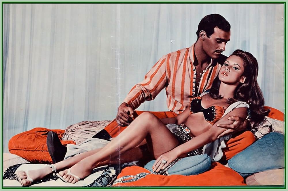 砂漠の盗賊王子の画像