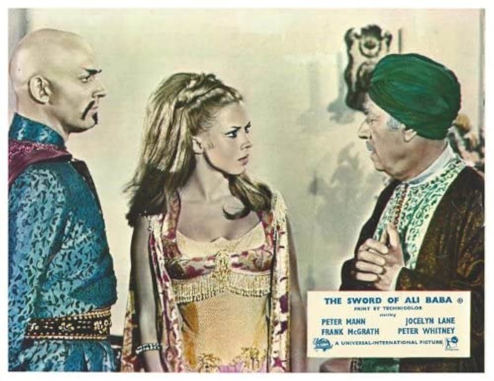 砂漠の盗賊王子の画像