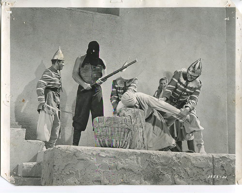 砂漠の盗賊王子の画像