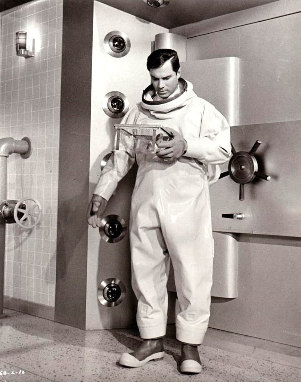 サタンバグの画像