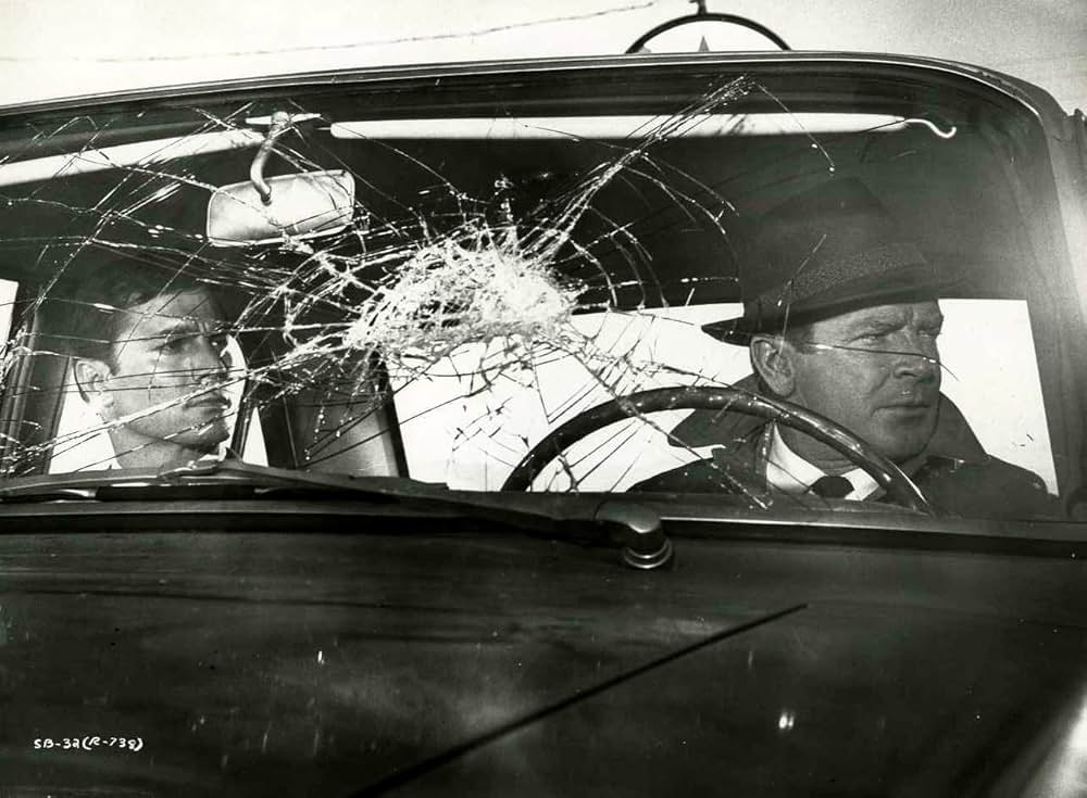 サタンバグの画像