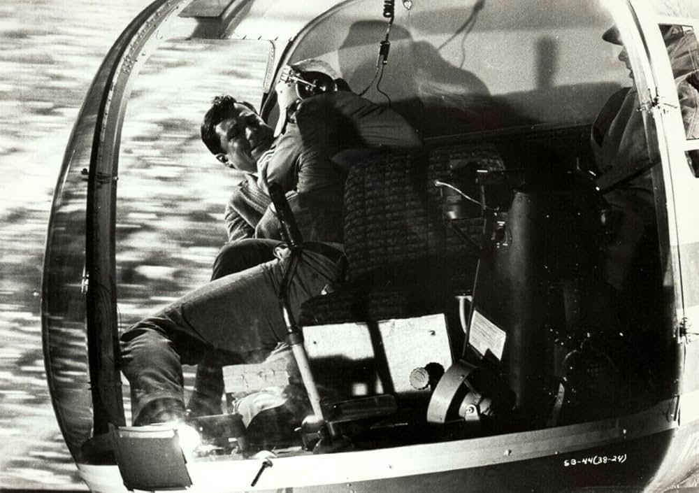 サタンバグの画像