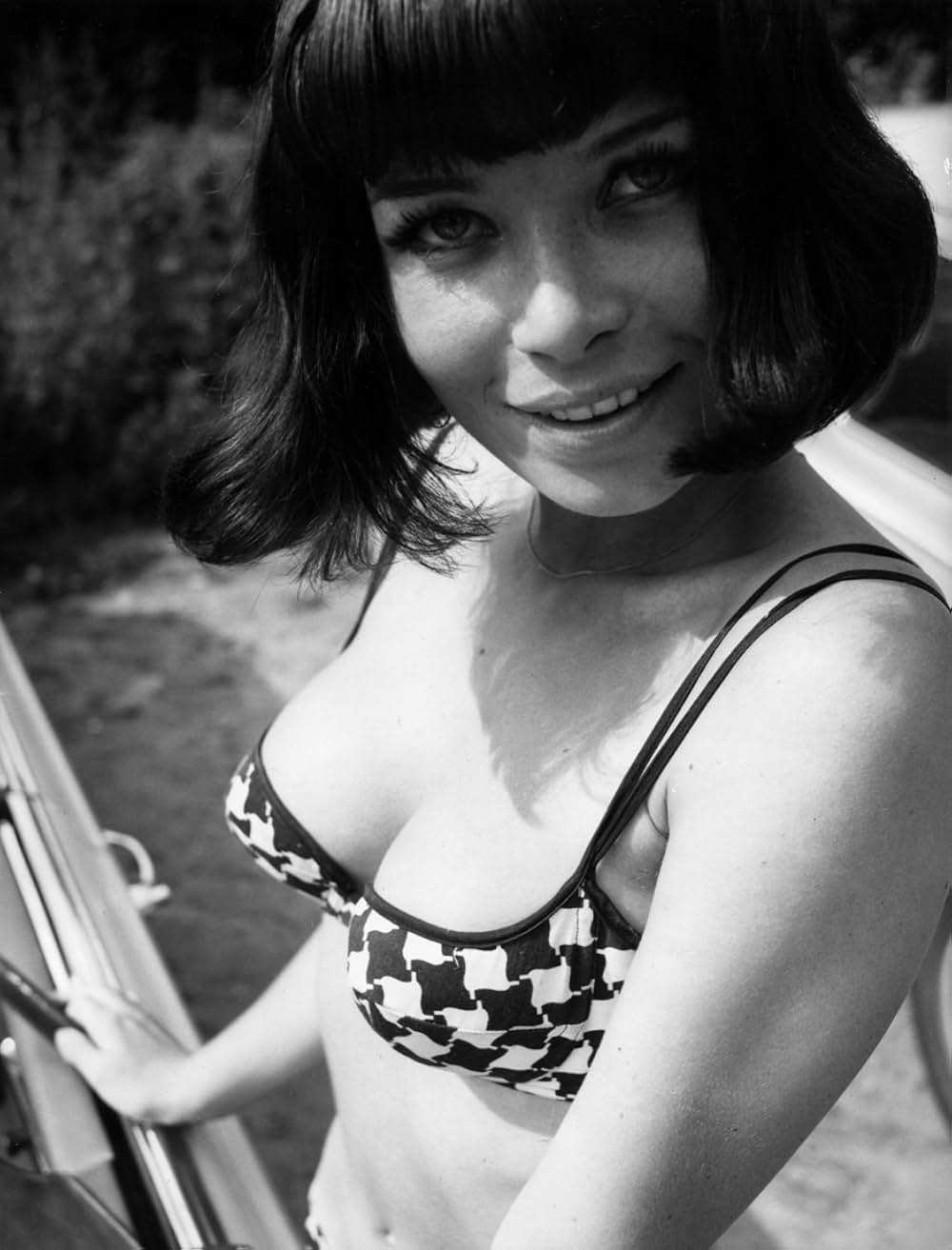 カルメン・ベビーの画像