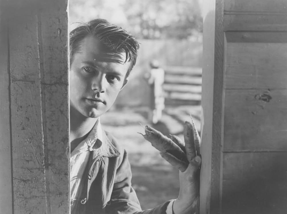 勝利の園の画像