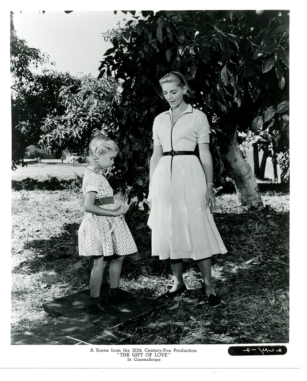 愛の贈物の画像