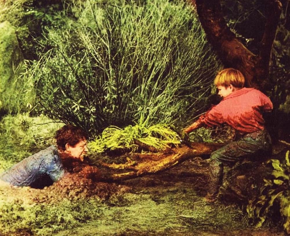 愛は憎しみの彼方にの写真