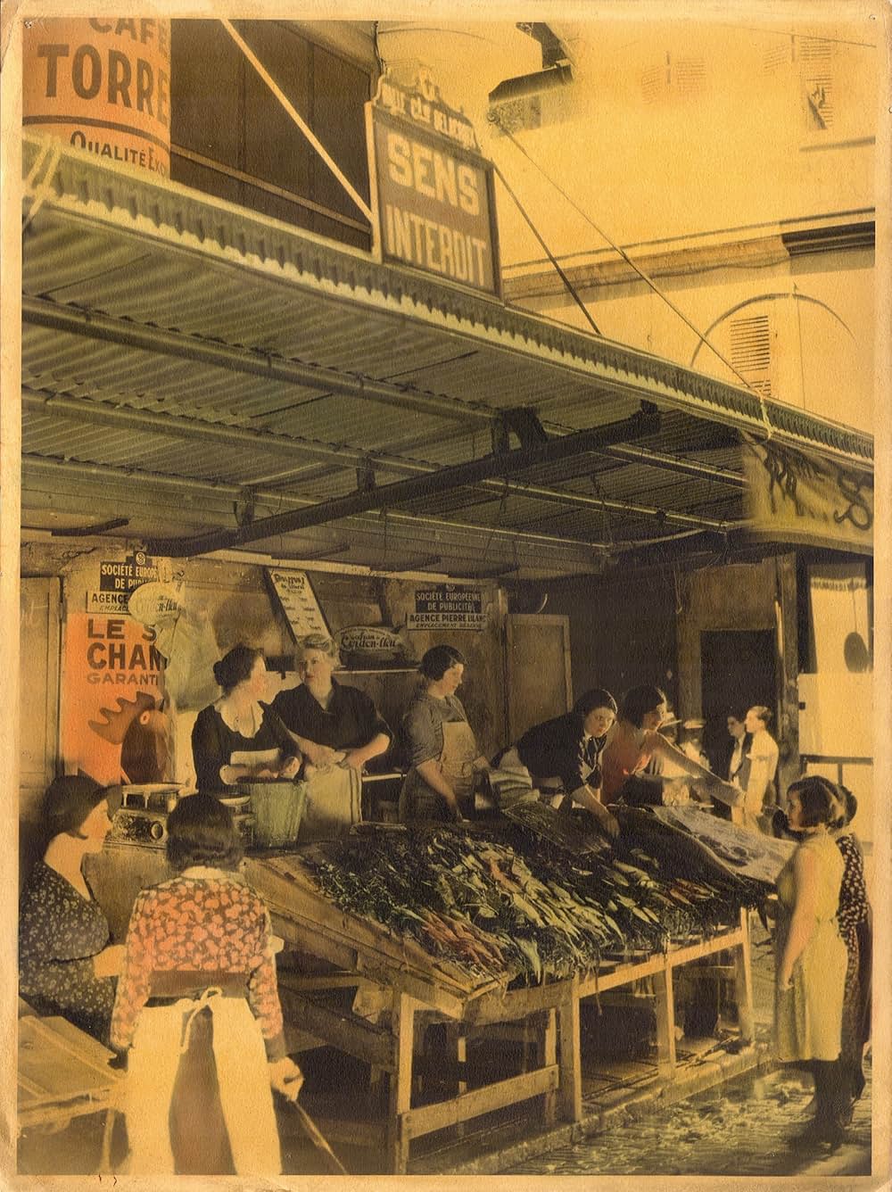 Fanny（原題）の画像