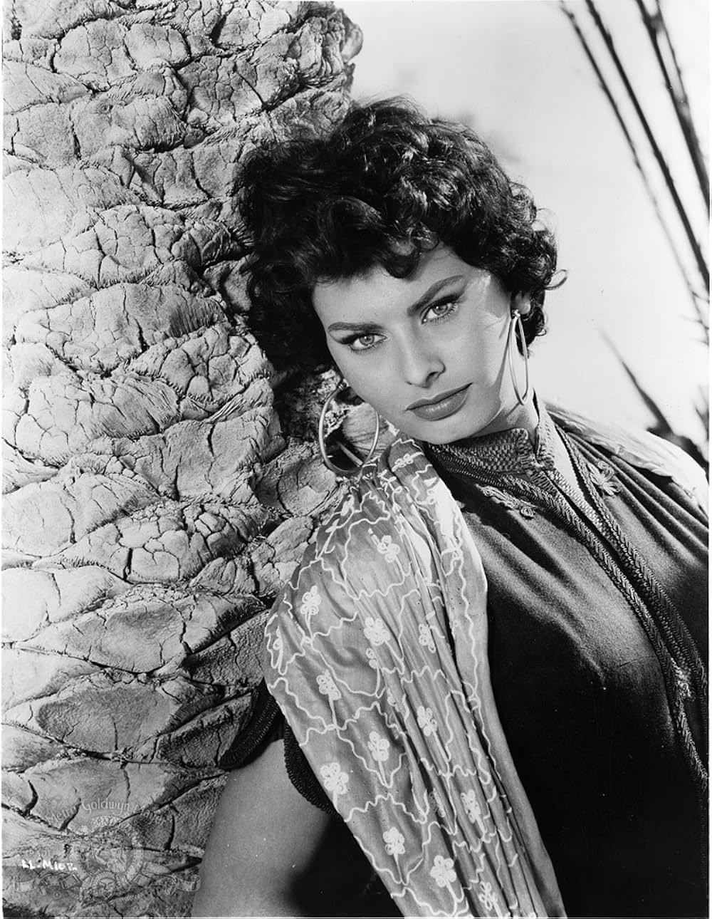 失われたものゝ伝説の画像