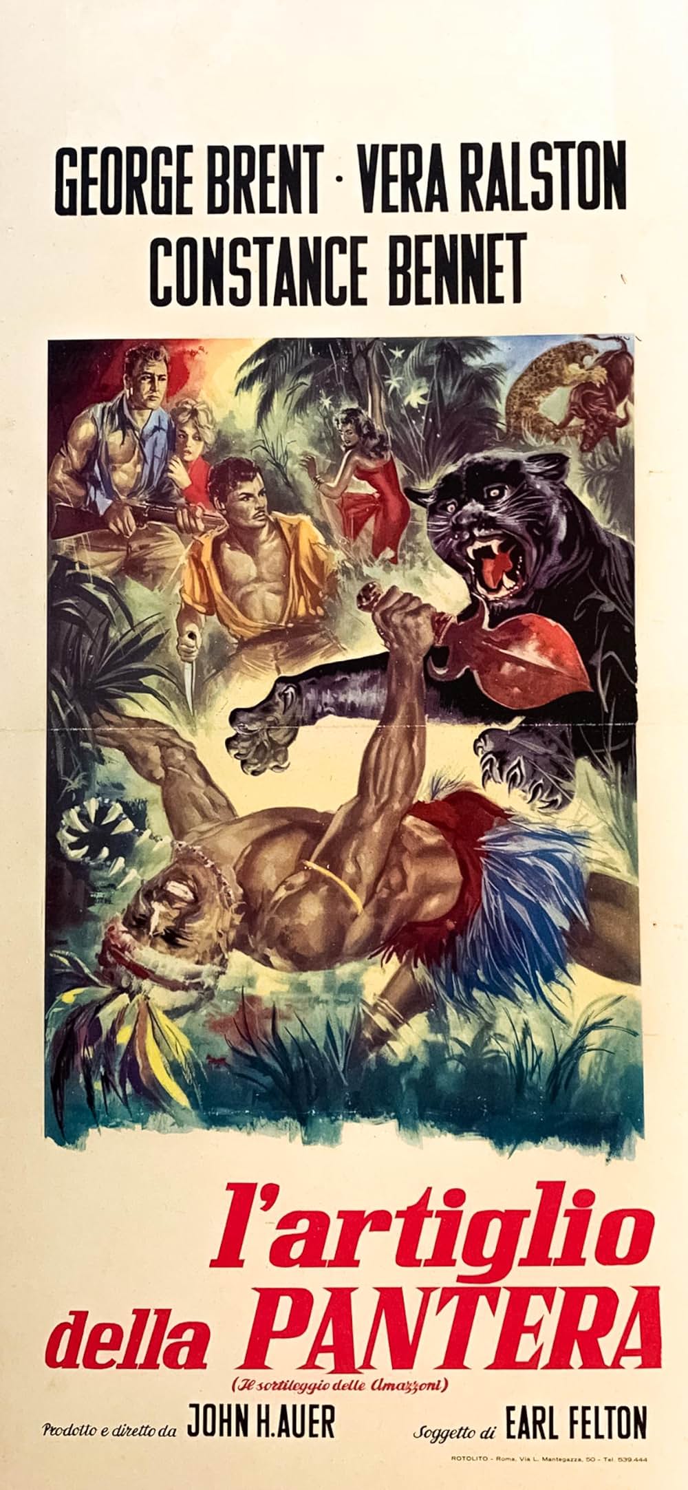 アマゾンの美女の画像