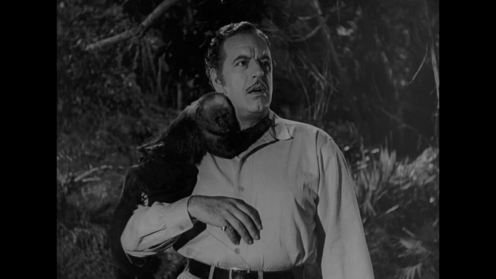 アマゾンの美女の画像