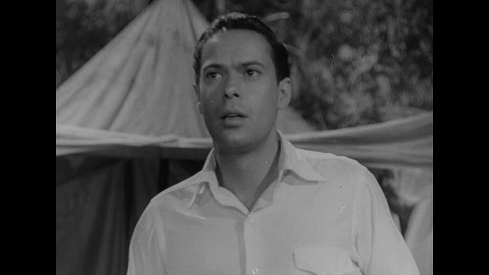 アマゾンの美女の画像