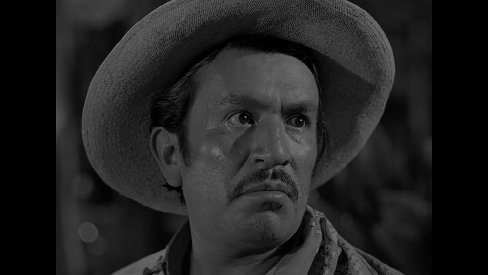 アマゾンの美女の画像